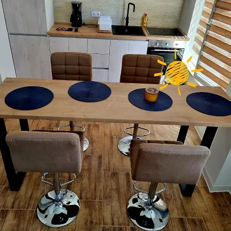 Rustic City Center Apartment Apartment Cluj-Napoca